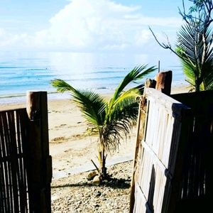 Meet your Posher, Theresa